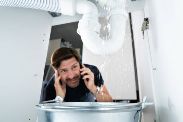 Best Plumbing Inspection Services  in Town Creek, AL