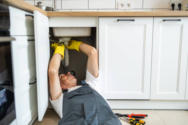 Best Local Plumber Services  in Town Creek, AL